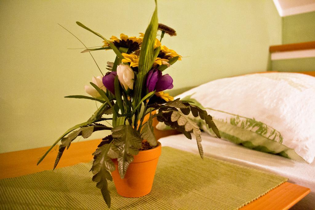 Blato Guesthouse Jug מראה חיצוני תמונה