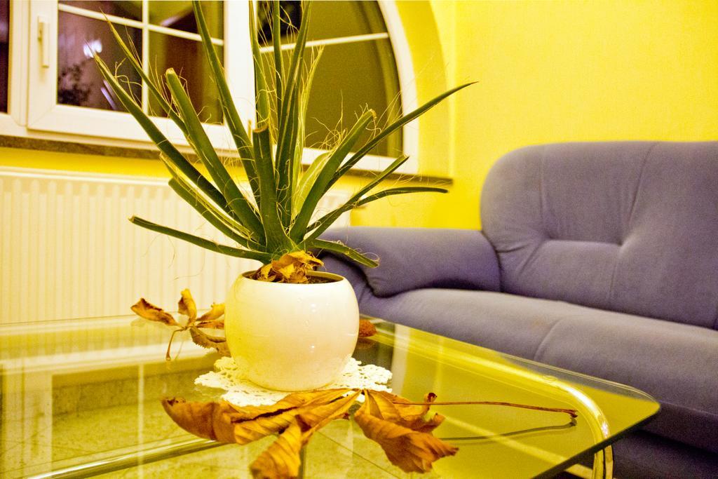Blato Guesthouse Jug מראה חיצוני תמונה
